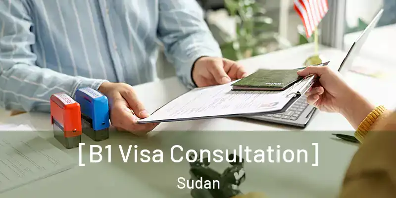  [B1 Visa Consultation] Sudan